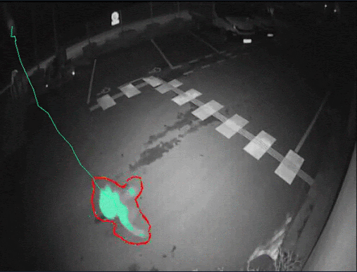 Video AI detecting a false positive in remote monitoring